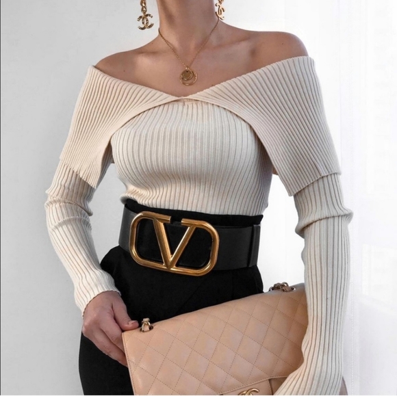 Zara Sweaters - Zara Fitted Knit Top